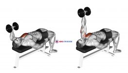 Dumbbell Lying One Arm Press (version 2)
