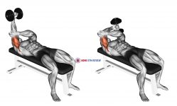 Dumbbell Lying One Arm Pronated Triceps Extension