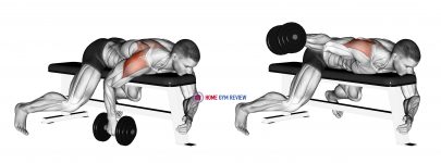 Dumbbell Lying One Arm Rear Lateral Raise