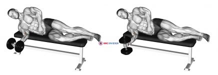 Dumbbell Lying Pronation