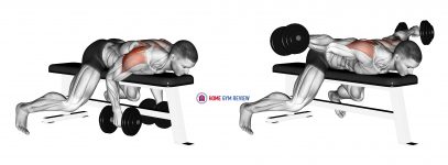 Dumbbell Lying Rear Lateral Raise