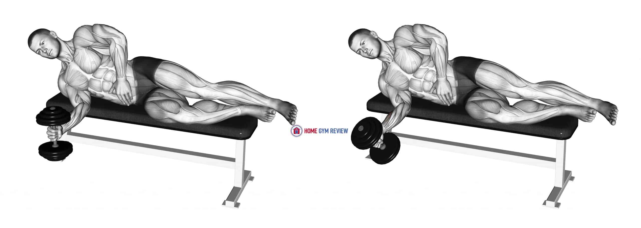Dumbbell Lying Supination