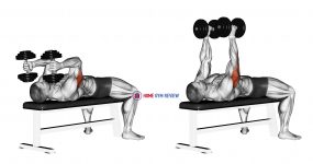 Dumbbell Lying Triceps Extension