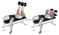 Dumbbell Neutral Grip Bench Press