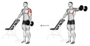 Dumbbell One Arm Lateral Raise with support