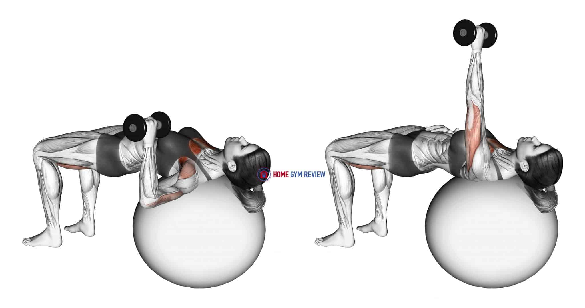 Dumbbell One Arm Press (on stability ball) Home Gym Review