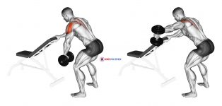 Dumbbell One Arm Reverse Fly (with support)