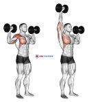 Dumbbell One Arm Shoulder Press
