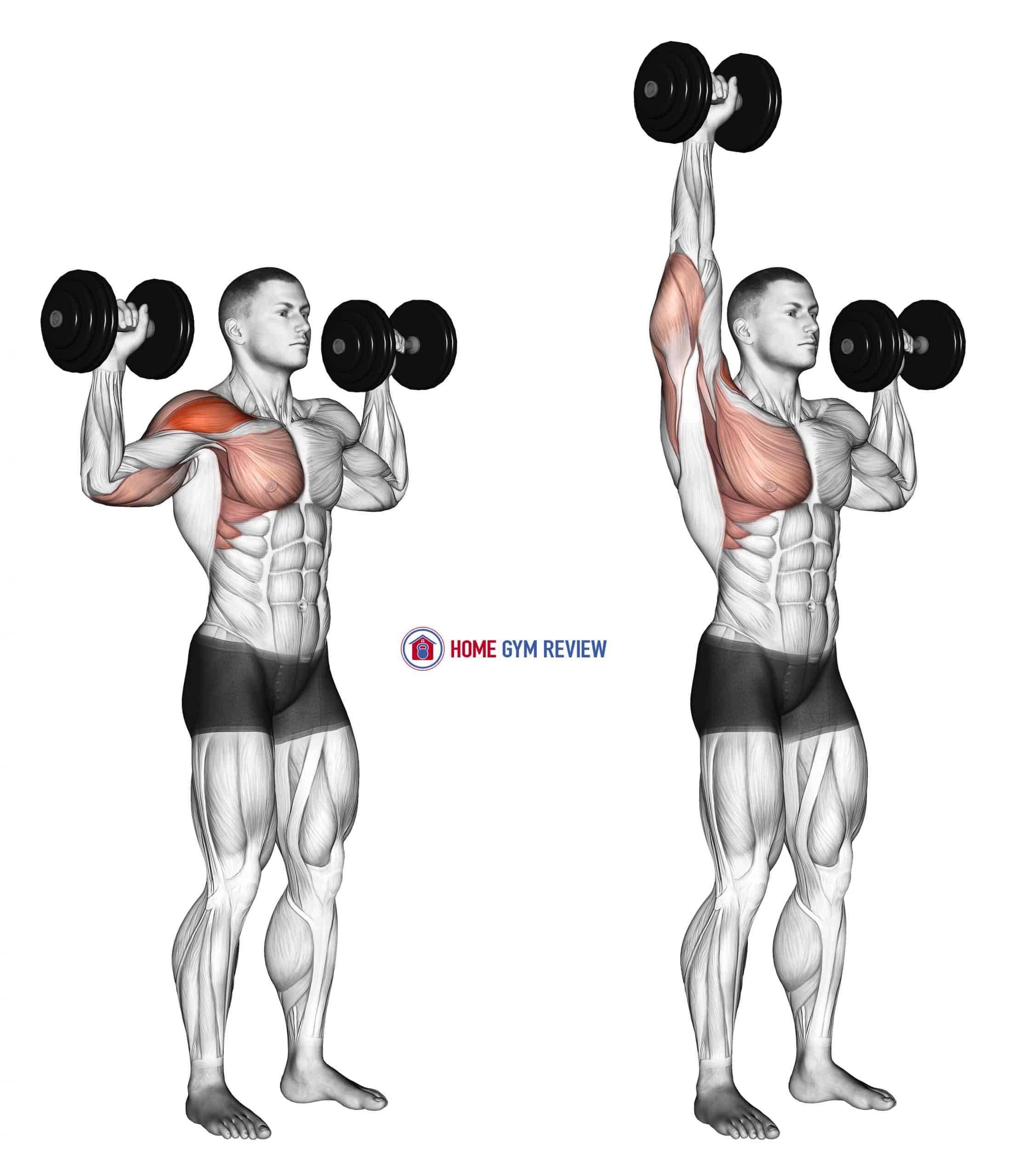 Dumbbell One Arm Shoulder Press