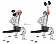 Dumbbell One Arm Triceps Extension (on bench)