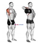 Dumbbell One Arm Upright Row