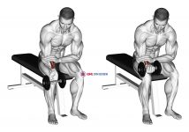 Dumbbell One arm Wrist Curl