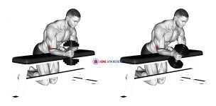 Dumbbell Over Bench One Arm Neutral Wrist Curl
