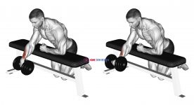 Dumbbell Over Bench One Arm Wrist Curl