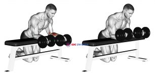 Dumbbell Over Bench Revers Wrist Curl