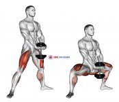 Dumbbell Plyo Squat