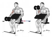Dumbbell Preacher Curl