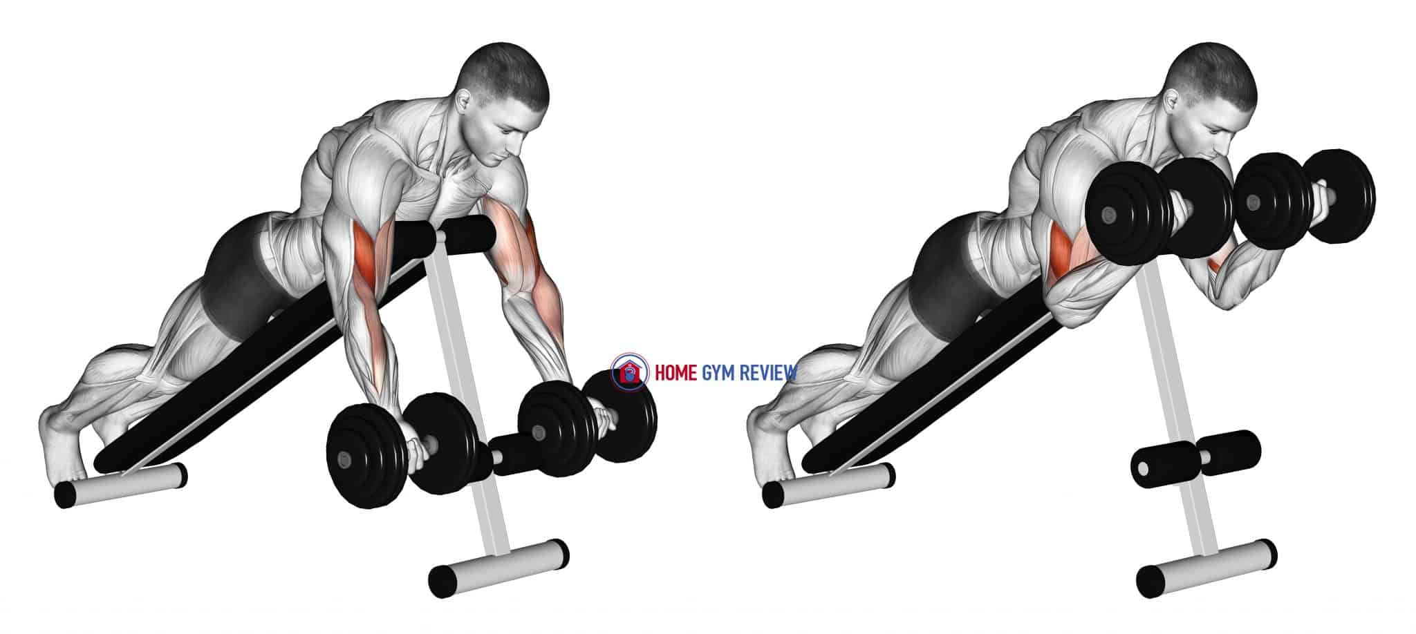 Dumbbell Prone Incline Curl Home Gym Review
