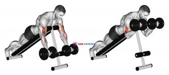 Dumbbell Prone Incline Curl