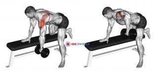 Dumbbell Rear Delt Row_shoulder