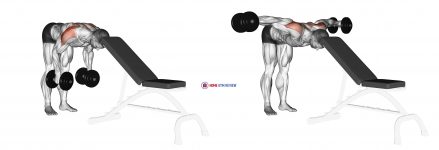 Dumbbell Rear Lateral Raise (support head)