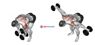 Dumbbell Rear Lateral Raise