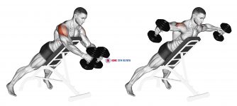 Dumbbell Reverse Fly