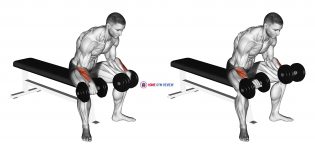 Dumbbell Reverse Wrist Curl