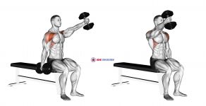 Dumbbell Seated Alternate Front Raise