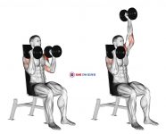 Dumbbell Seated Alternate Press