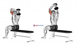 Dumbbell Seated Bench Extension