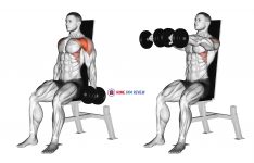 Dumbbell Seated Front Raise