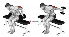 Dumbbell Seated Kickback