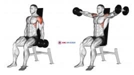 Dumbbell Seated Lateral Raise (version 2)
