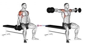 Dumbbell Seated Lateral Raise
