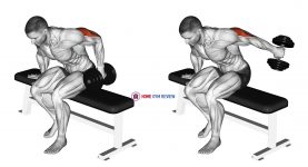 Dumbbell Seated One Arm Kickback
