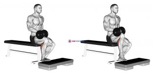 Dumbbell Seated One Leg Calf Raise