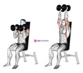 Dumbbell Seated Shoulder Press (parallel grip)