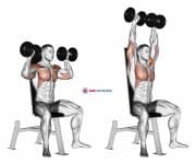 Dumbbell Seated Shoulder Press