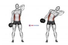 Dumbbell Side Bend