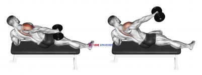 Dumbbell Side Lying One Hand Raise