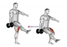 Dumbbell Single Leg Squat