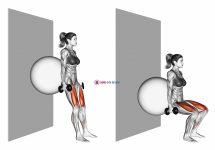 Dumbbell Squat (back on stability ball wall)