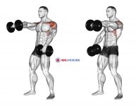 Dumbbell Standing Alternate Raise