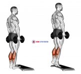 Dumbbell Standing Calf Raise