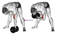Dumbbell Standing Concentration Curl