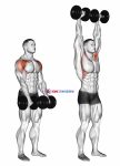 Dumbbell Standing Front Raise Above Head