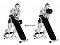 Dumbbell Standing One Arm Curl (over incline bench)
