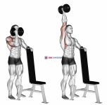 Dumbbell Standing One Arm Palm In Press
