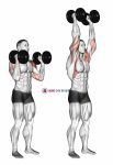 Dumbbell Standing Palms In Press